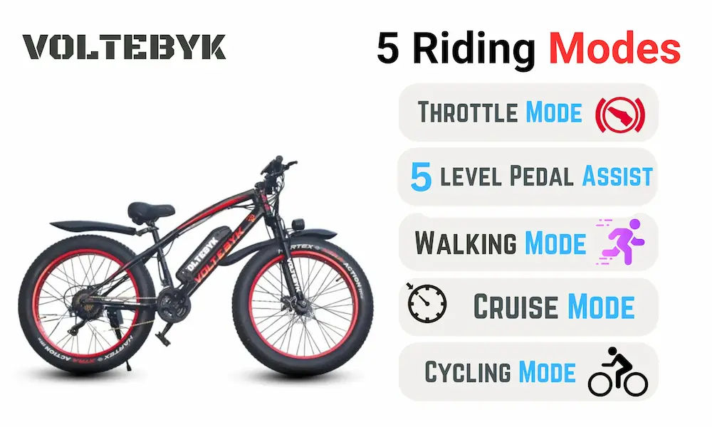 Runner Pro Premium Electric fatbike with hi speed 350w Motor